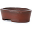 Pot à bonsaï ovale non émaillé par Bigei - 50 x 36 x 16 mm
