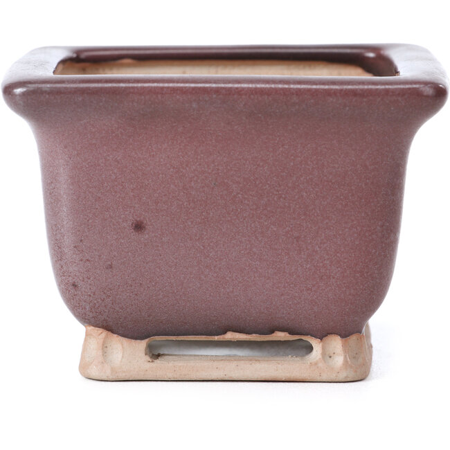 Vierkante lila bordeaux bonsai pot van Bigei - 85 x 85 x 60 mm