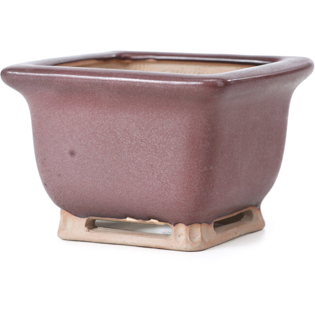 Pot à bonsaï carré bordeaux de Bigei - 85 x 85 x 60 mm
