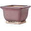 Vaso bonsai quadrato bordeaux di Bigei - 85 x 85 x 60 mm