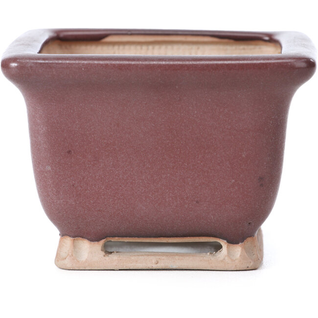 Square lilac bordeaux bonsai pot by Bigei - 85 x 85 x 60 mm