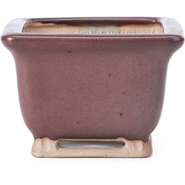 Vierkante lila bordeaux bonsai pot van Bigei - 85 x 85 x 60 mm