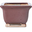 Vaso bonsai quadrato bordeaux di Bigei - 85 x 85 x 60 mm