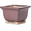 Square lilac bordeaux bonsai pot by Bigei - 85 x 85 x 60 mm