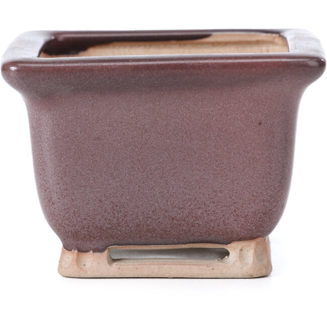 Maceta cuadrada burdeos para bonsái de Bigei - 85 x 85 x 60 mm