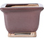 Square bordeaux bonsai pot by Bigei - 85 x 85 x 60 mm
