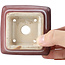 Quadratische Flieder-Bordeaux-Bonsaischale von Bigei - 85 x 85 x 60 mm