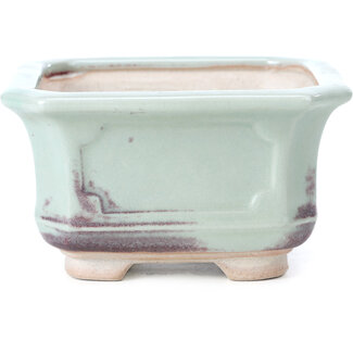 Bigei - Hirata Atsumi Pot à bonsaï carré de 110 mm, bleu-vert tendre, de la marque Bigei, Tokoname, Japon, avec détails violets.