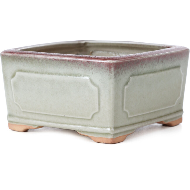 Vierkante groene en rode bonsaipot van Bigei - 105 x 105 x 55 mm