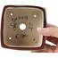 Maceta de bonsái cuadrada verde y roja de Bigei - 105 x 105 x 55 mm