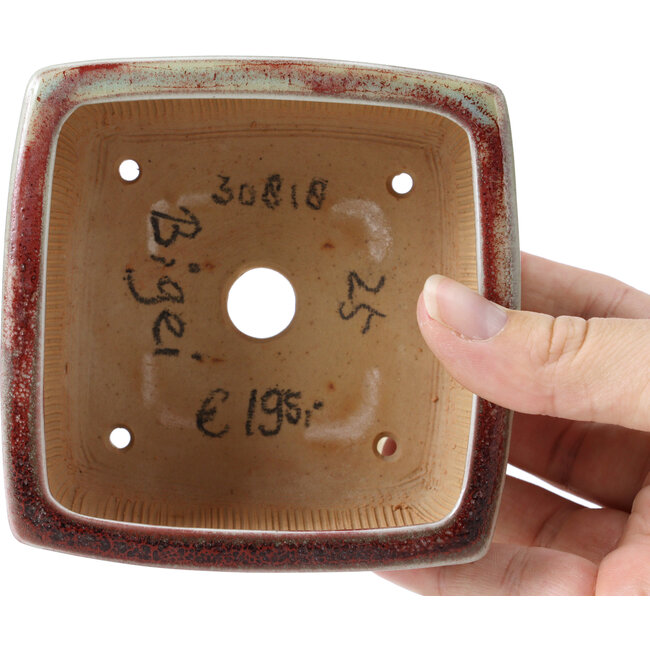 Quadratische grüne und rote Bonsaischale von Bigei - 105 x 105 x 55 mm
