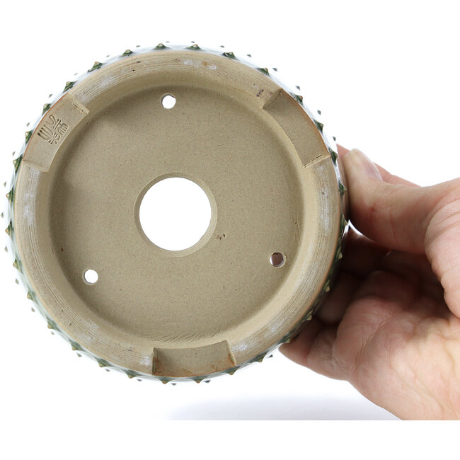 Pot à bonsaï rond vert par Bigei - 115 x 115 x 75 mm