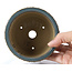 Pot à bonsaï rond bleu par Bigei - 115 x 115 x 75 mm