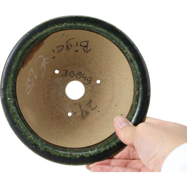 Runde grüne Bonsaischale von Bigei - 159 x 159 x 70 mm