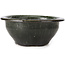 Pot à bonsaï rond vert par Bigei - 153 x 153 x 66 mm