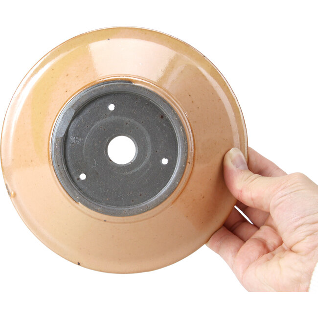 Pot à bonsaï rond rose saumon par Bigei - 160 x 160 x 40 mm