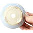 Runde blaue Bonsaischale von Bigei - 86 x 86 x 37 mm