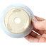 Runde blaue Bonsaischale von Bigei - 88 x 88 x 37 mm