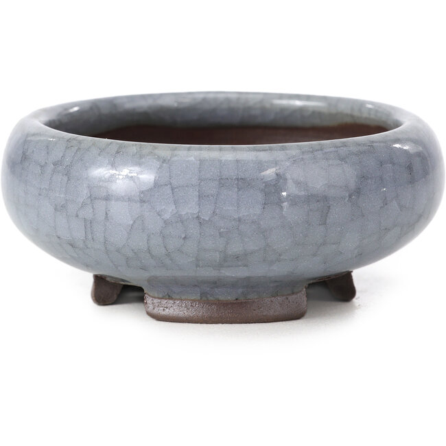 Ronde blauwe bonsaipot van Bigei - 79 x 79 x 33 mm