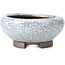 Round white craquelé bonsai pot by Bigei - 90 x 90 x 40 mm