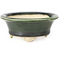 Maceta de bonsái redonda verde de Bigei - 87 x 87 x 35 mm