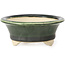 Runde grüne Bonsaischale von Bigei - 87 x 87 x 35 mm