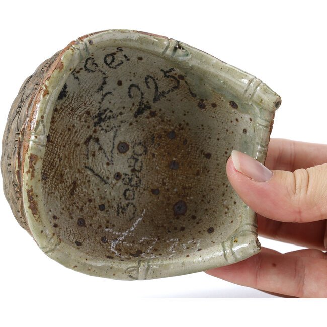 Vaso per bonsai multicolore a forma di cesto di Bigei - 100 x 95 x 47 mm