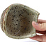 Pot à bonsaï multicolore en forme de panier par Bigei - 100 x 95 x 47 mm