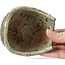 Pot à bonsaï multicolore en forme de panier par Bigei - 100 x 95 x 47 mm