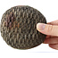Pot à bonsaï multicolore en forme de panier par Bigei - 100 x 95 x 47 mm