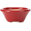 Maceta de bonsái roja redonda de Shozan - 115 x 115 x 50 mm