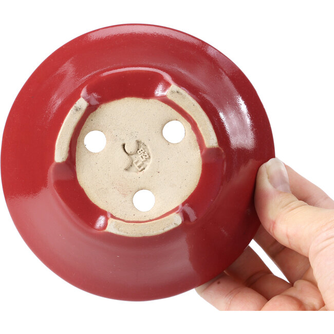 Ronde rode bonsaipot van Shozan - 115 x 115 x 50 mm