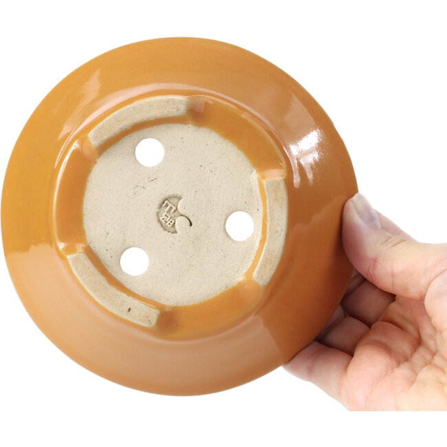 Maceta de bonsái naranja redonda de Shozan - 141 x 141 x 60 mm