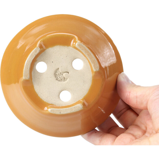 Maceta de bonsái naranja redonda de Shozan - 121 x 121 x 55 mm