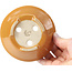 Pot à bonsaï rond orange par Shozan - 121 x 121 x 55 mm