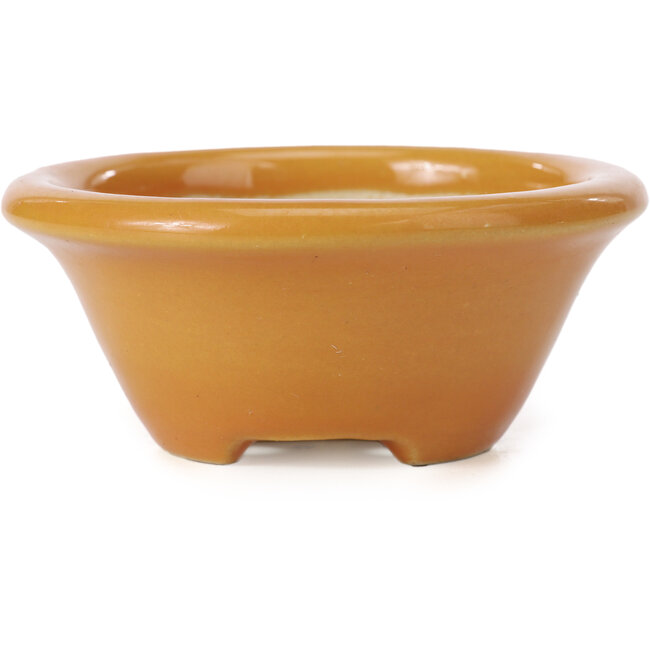 Round orange bonsai pot by Shozan - 102 x 102 x 47 mm