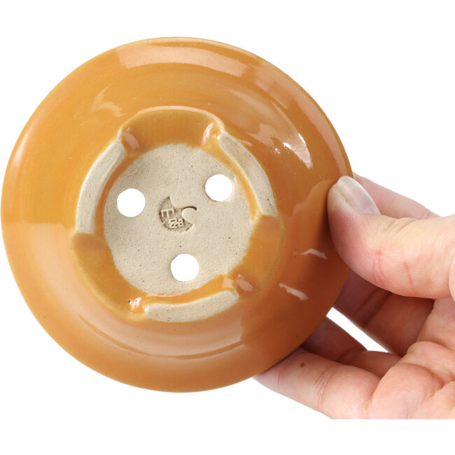 Runde orangefarbene Bonsaischale von Shozan - 102 x 102 x 47 mm