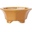 Vaso per bonsai arancione ottagonale di Shozan - 135 x 126 x 54 mm