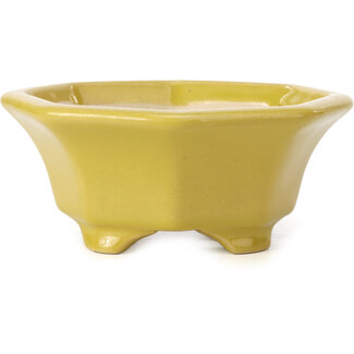 Shouzan  (Akira/Masami Watanabe) 135 mm octagonal yellow bonsai pot by Shozan, Japan