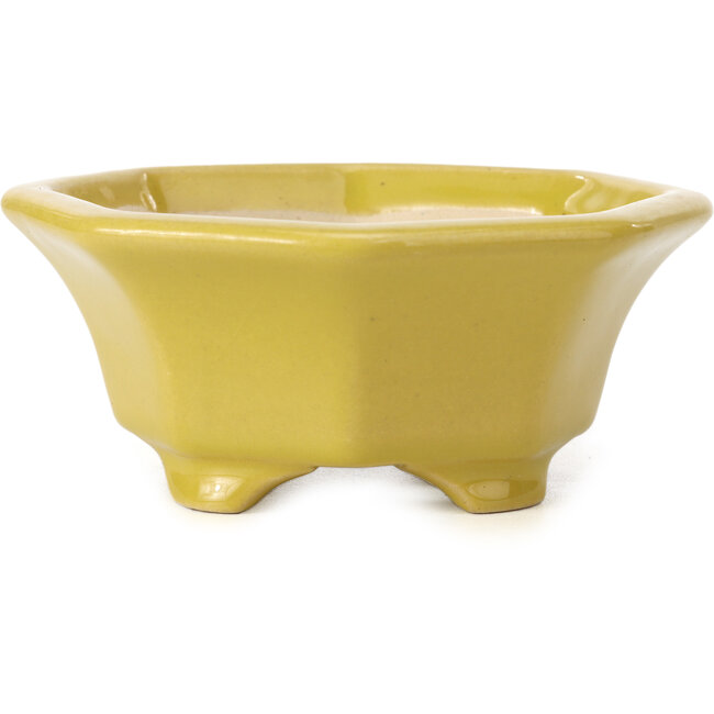 Octagonal yellow bonsai pot by Shozan - 135 x 126 x 54 mm