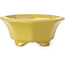 Octagonal yellow bonsai pot by Shozan - 135 x 126 x 54 mm