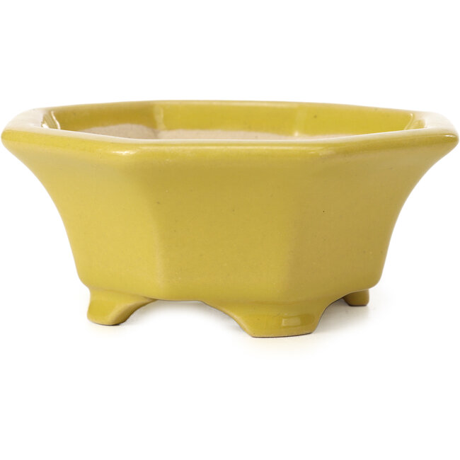 Maceta de bonsái amarilla octogonal de Shozan - 135 x 126 x 54 mm