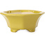 Octagonal yellow bonsai pot by Shozan - 135 x 126 x 54 mm