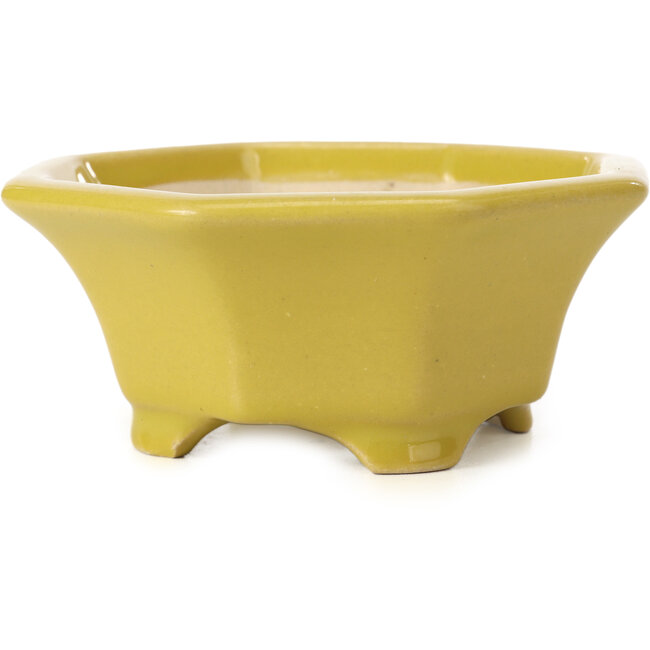 Vaso per bonsai giallo ottagonale di Shozan - 135 x 126 x 54 mm