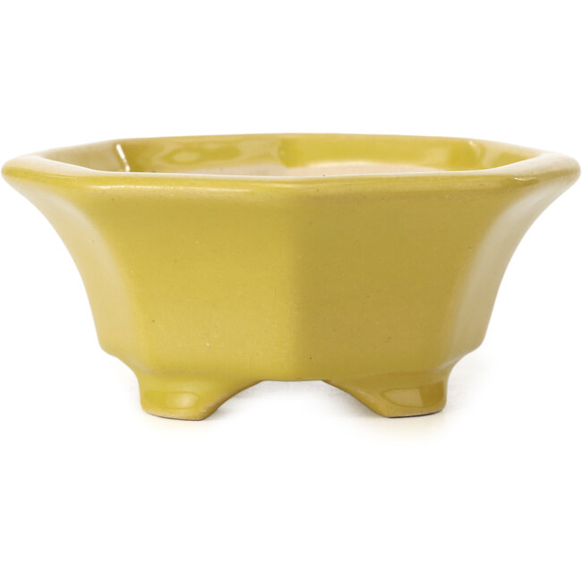 Octagonal yellow bonsai pot by Shozan - 135 x 126 x 54 mm