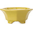 Octagonal yellow bonsai pot by Shozan - 135 x 126 x 54 mm