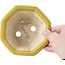 Maceta de bonsái amarilla octogonal de Shozan - 135 x 126 x 54 mm