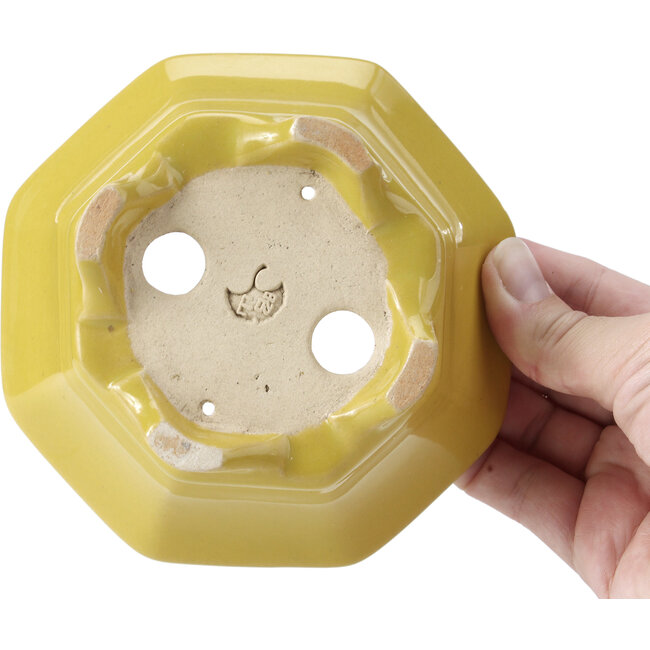 Pot à bonsaï jaune octogonal par Shozan - 135 x 126 x 54 mm