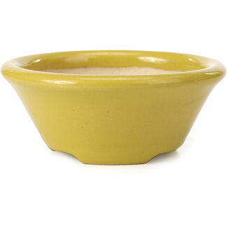 Shouzan  (Akira/Masami Watanabe) 142 mm round yellow bonsai pot by Shozan, Japan