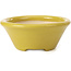 Vaso per bonsai rotondo giallo di Shozan - 142 x 142 x 60 mm